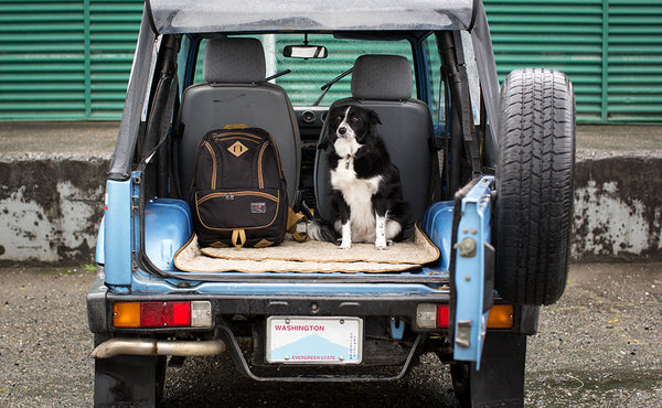 A Guide's Edition Synapse 25 in the back of a Suzuki Samurai.